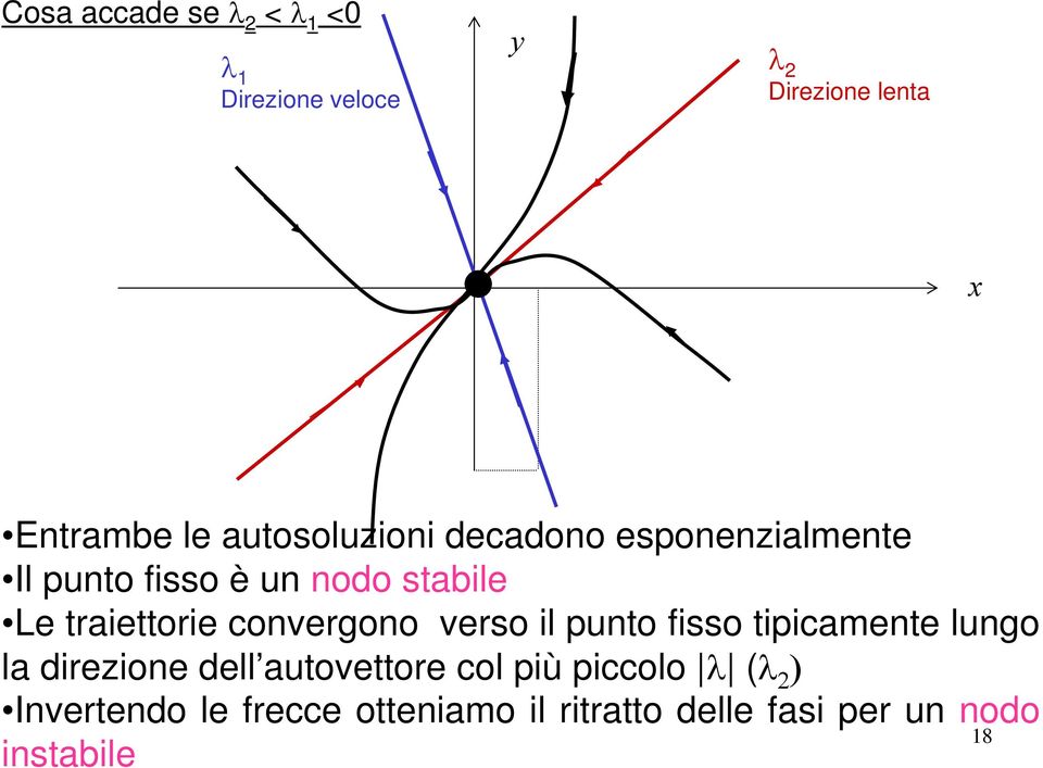 traiettorie convergono verso il punto fisso tipicamente lungo la direzione dell