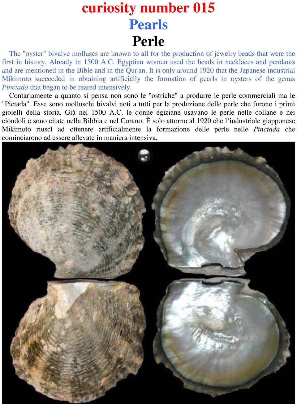 It is only around 1920 that the Japanese industrial Mikimoto succeeded in obtaining artificially the formation of pearls in oysters of the genus Pinctada that began to be reared intensively.