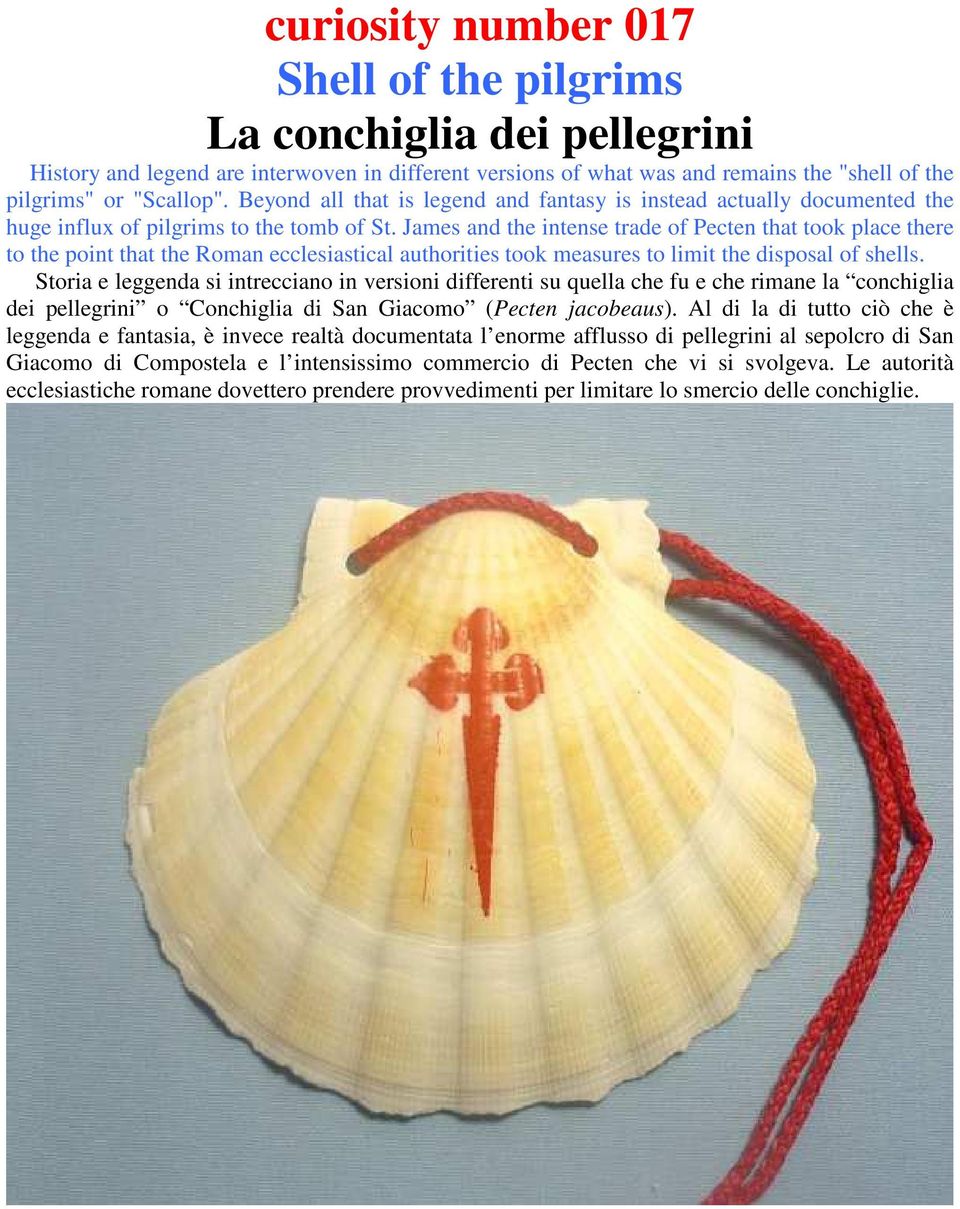 James and the intense trade of Pecten that took place there to the point that the Roman ecclesiastical authorities took measures to limit the disposal of shells.