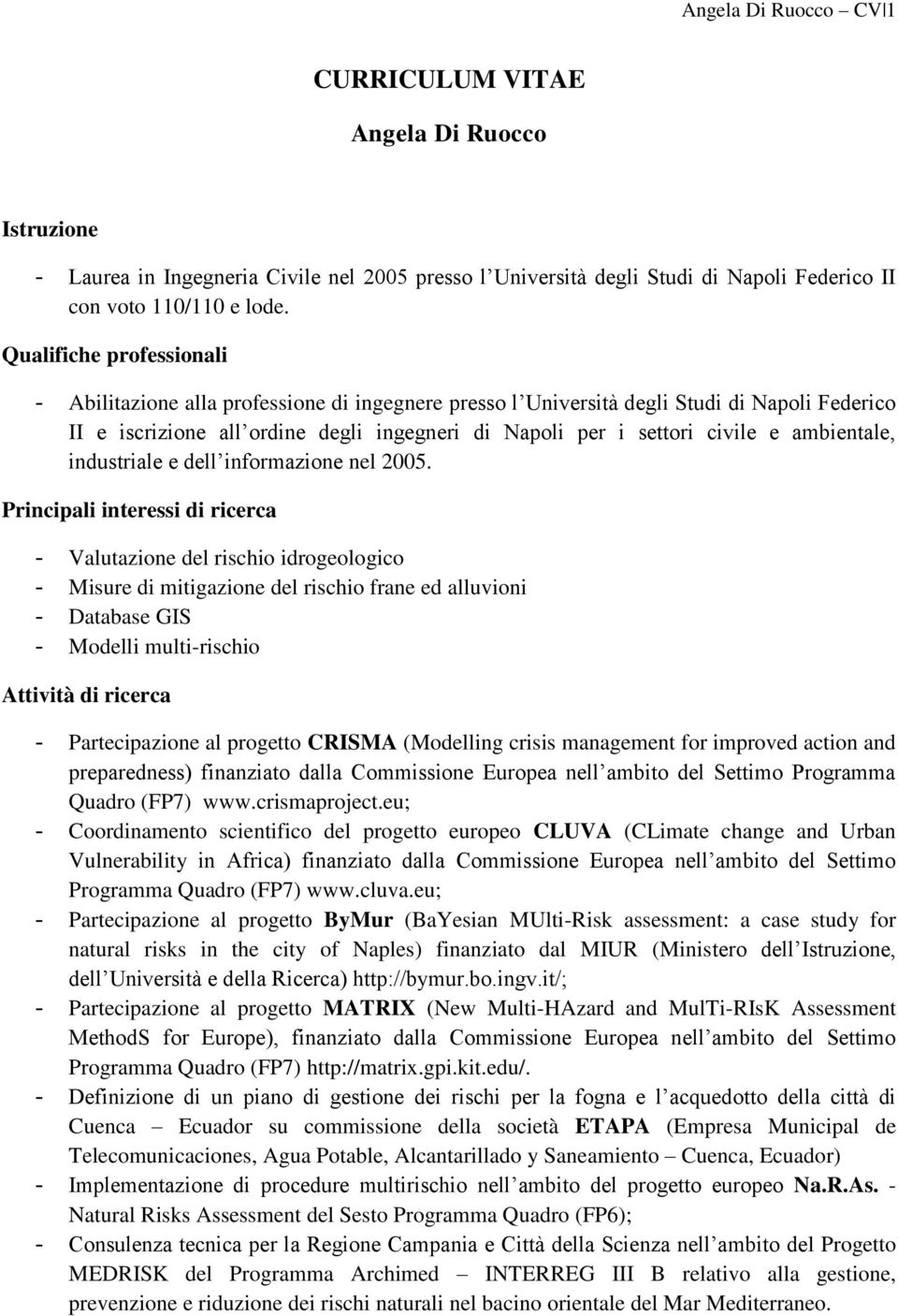 ambientale, industriale e dell informazione nel 2005.