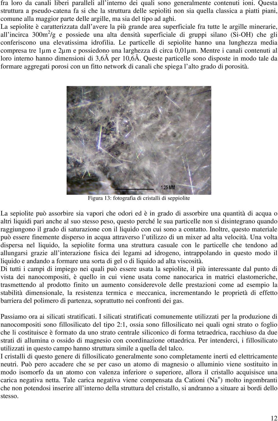 La sepiolite è caratterizzata dall avere la più grande area superficiale fra tutte le argille minerarie, all incirca 300m 2 /g e possiede una alta densità superficiale di gruppi silano (Si-OH) che