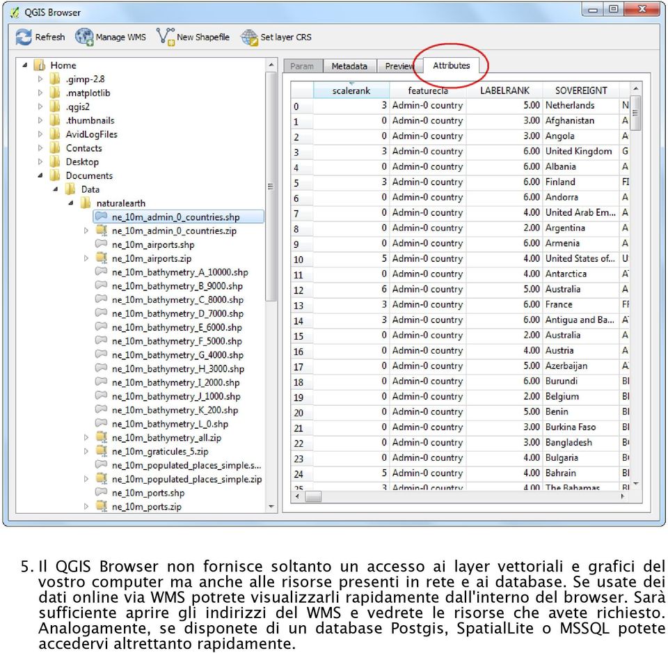 Se usate dei dati online via WMS potrete visualizzarli rapidamente dall'interno del browser.