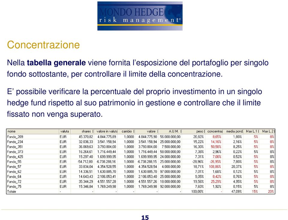 E possibile verificare la percentuale del proprio investimento in un singolo hedge