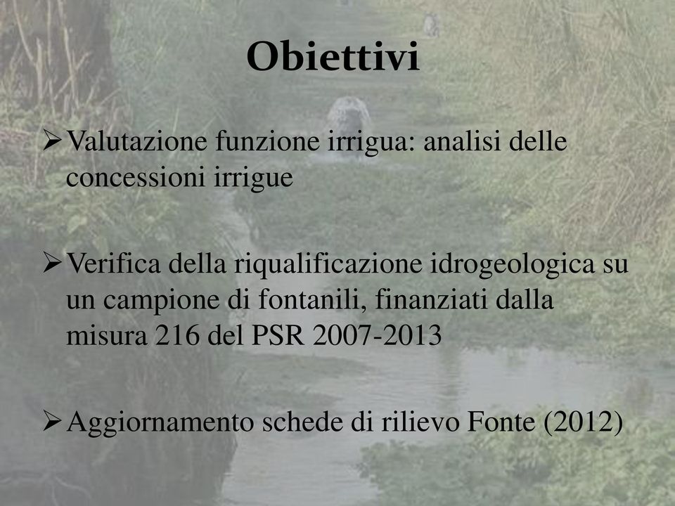 idrogeologica su un campione di fontanili, finanziati dalla