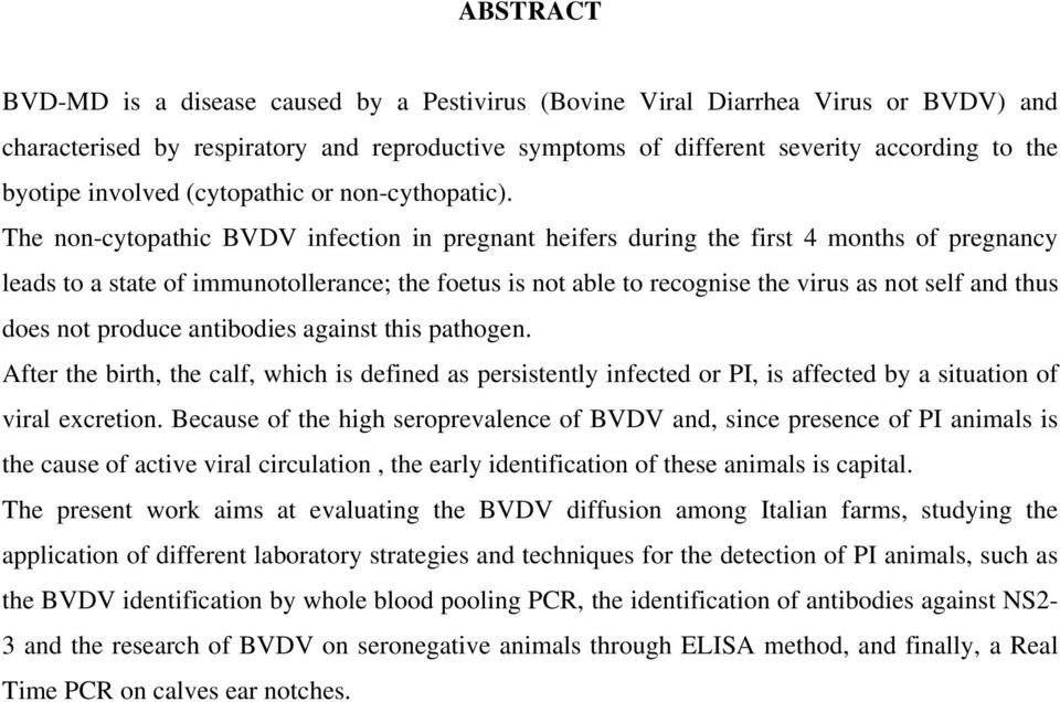 The non-cytopathic BVDV infection in pregnant heifers during the first 4 months of pregnancy leads to a state of immunotollerance; the foetus is not able to recognise the virus as not self and thus