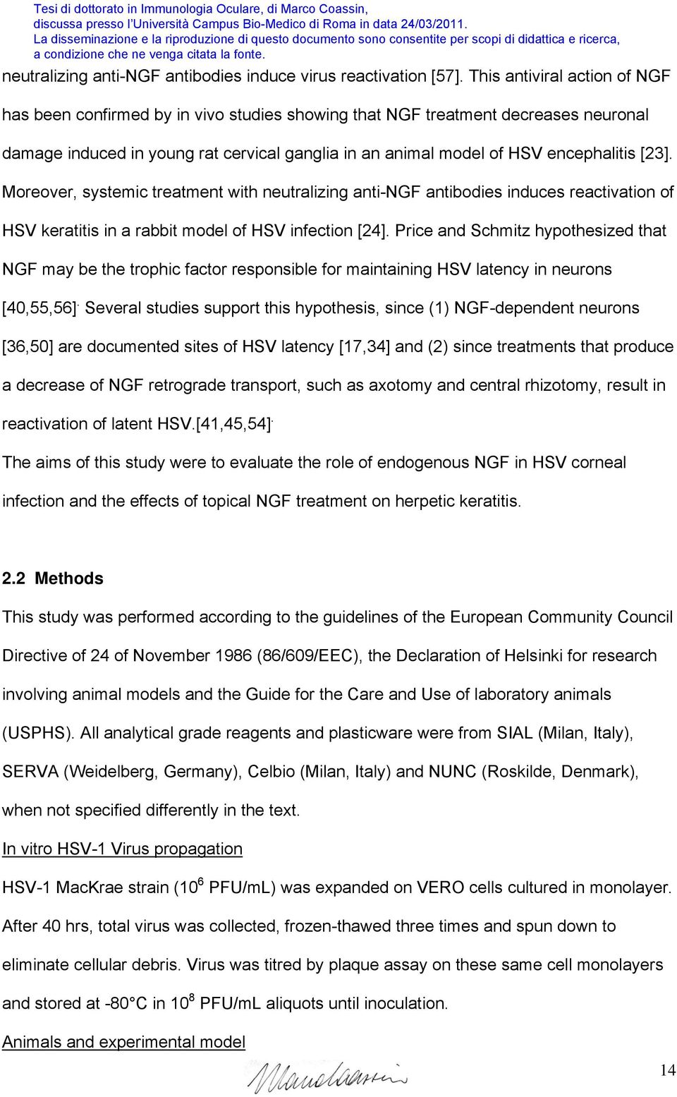 [23]. Moreover, systemic treatment with neutralizing anti-ngf antibodies induces reactivation of HSV keratitis in a rabbit model of HSV infection [24].