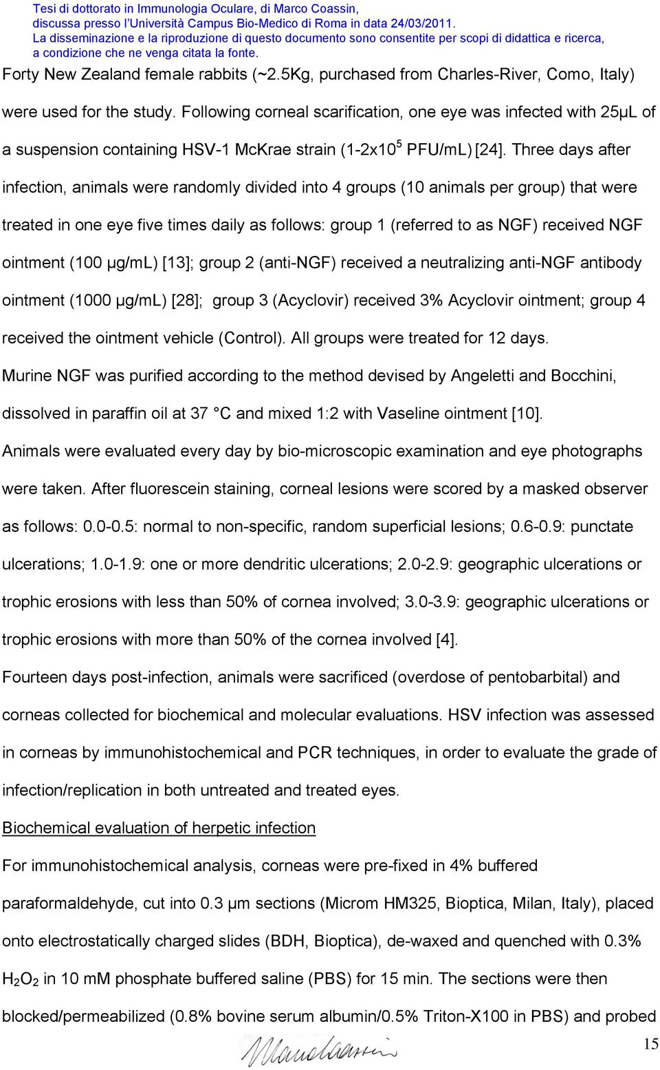 Three days after infection, animals were randomly divided into 4 groups (10 animals per group) that were treated in one eye five times daily as follows: group 1 (referred to as NGF) received NGF