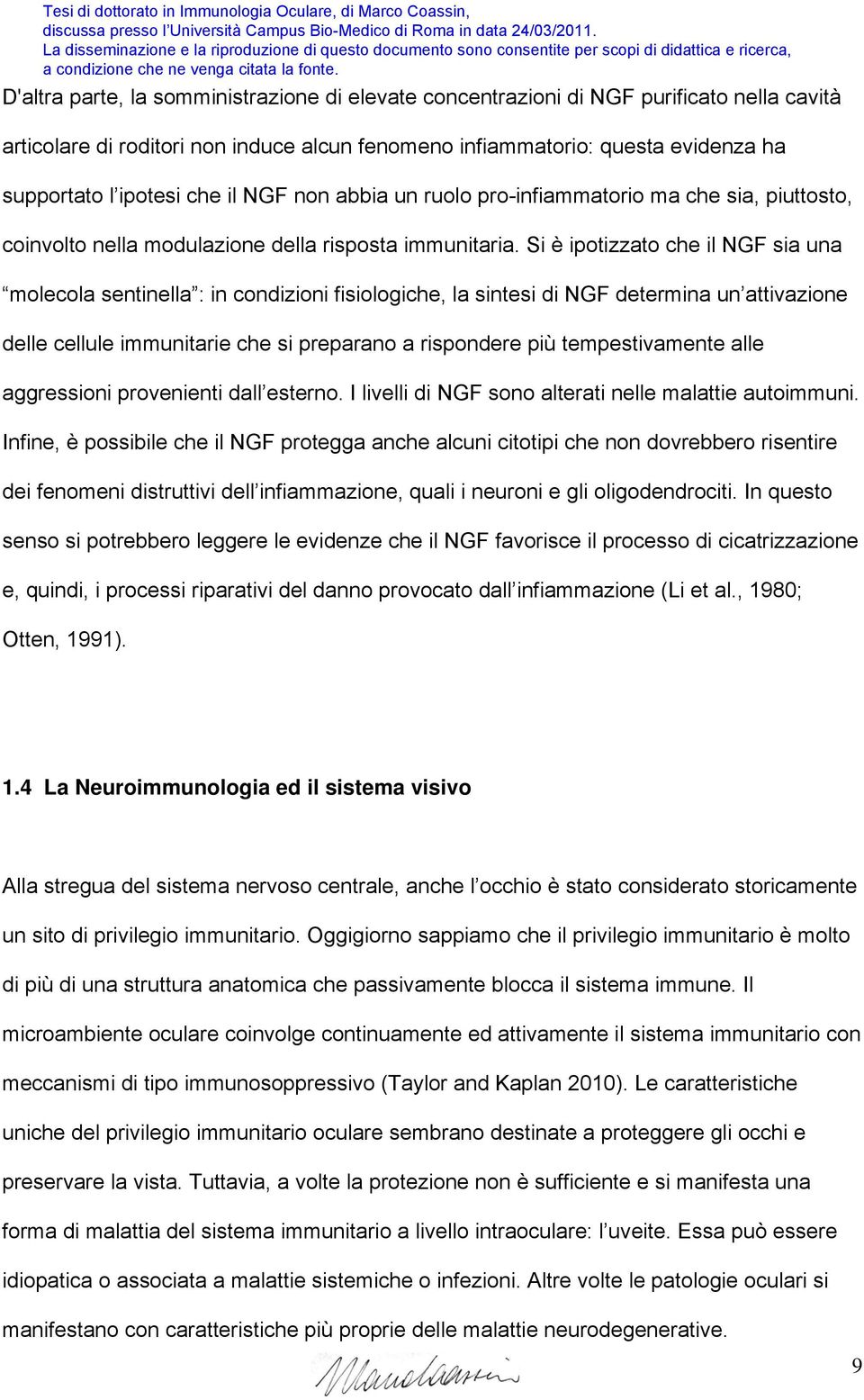 Si è ipotizzato che il NGF sia una molecola sentinella : in condizioni fisiologiche, la sintesi di NGF determina un attivazione delle cellule immunitarie che si preparano a rispondere più