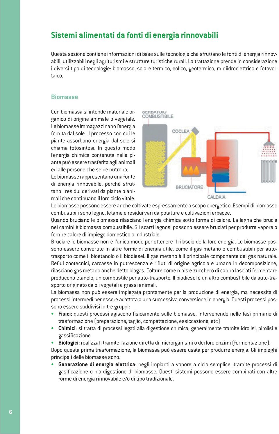 Biomasse Con biomassa si intende materiale organico di origine animale o vegetale. Le biomasse immagazzinano l energia fornita dal sole.