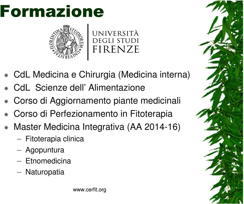 Perfezionamento in Fitoterapia Master Medicina Integrativa (AA