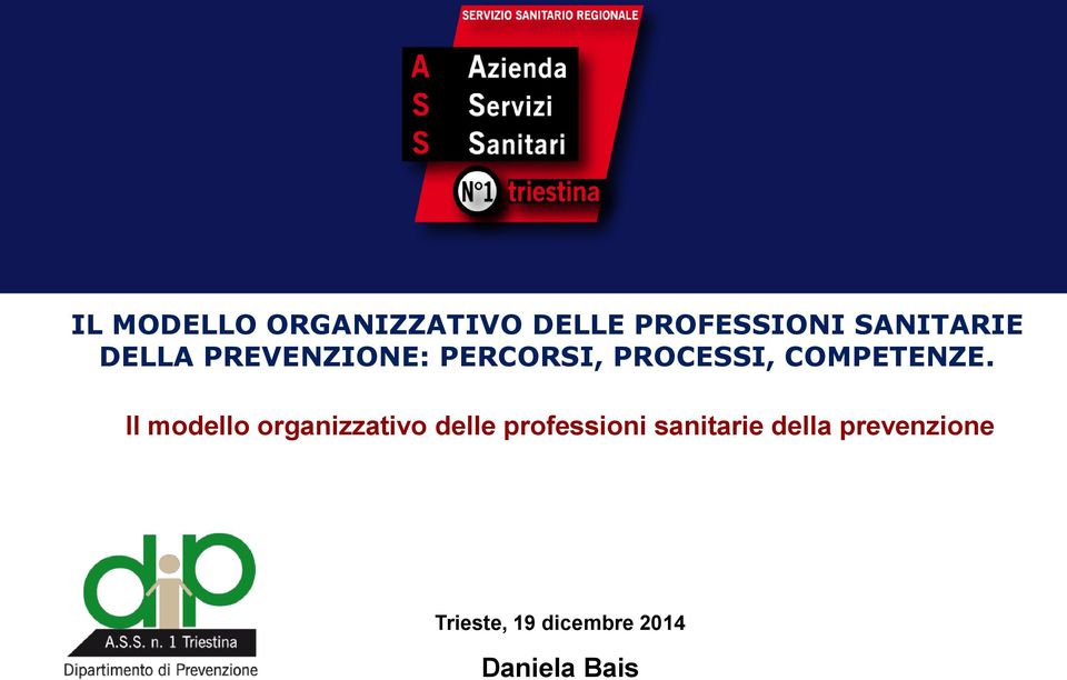 Il modello organizzativo delle professioni sanitarie