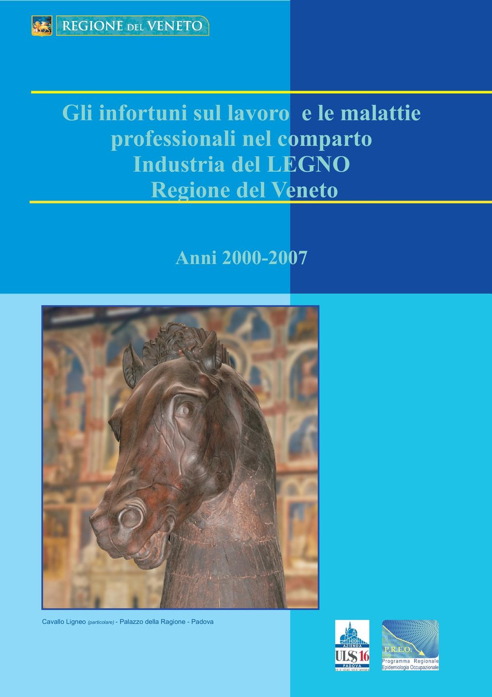 LEGNO Regione del Veneto Anni 2000-2007