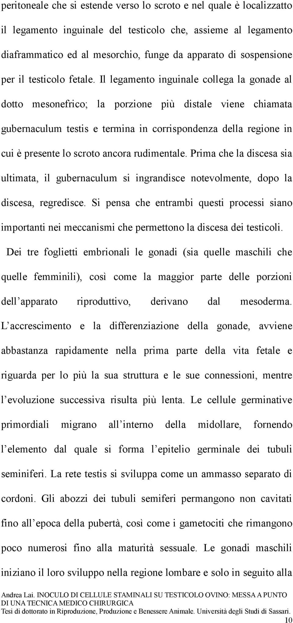 Il legamento inguinale collega la gonade al dotto mesonefrico; la porzione più distale viene chiamata gubernaculum testis e termina in corrispondenza della regione in cui è presente lo scroto ancora