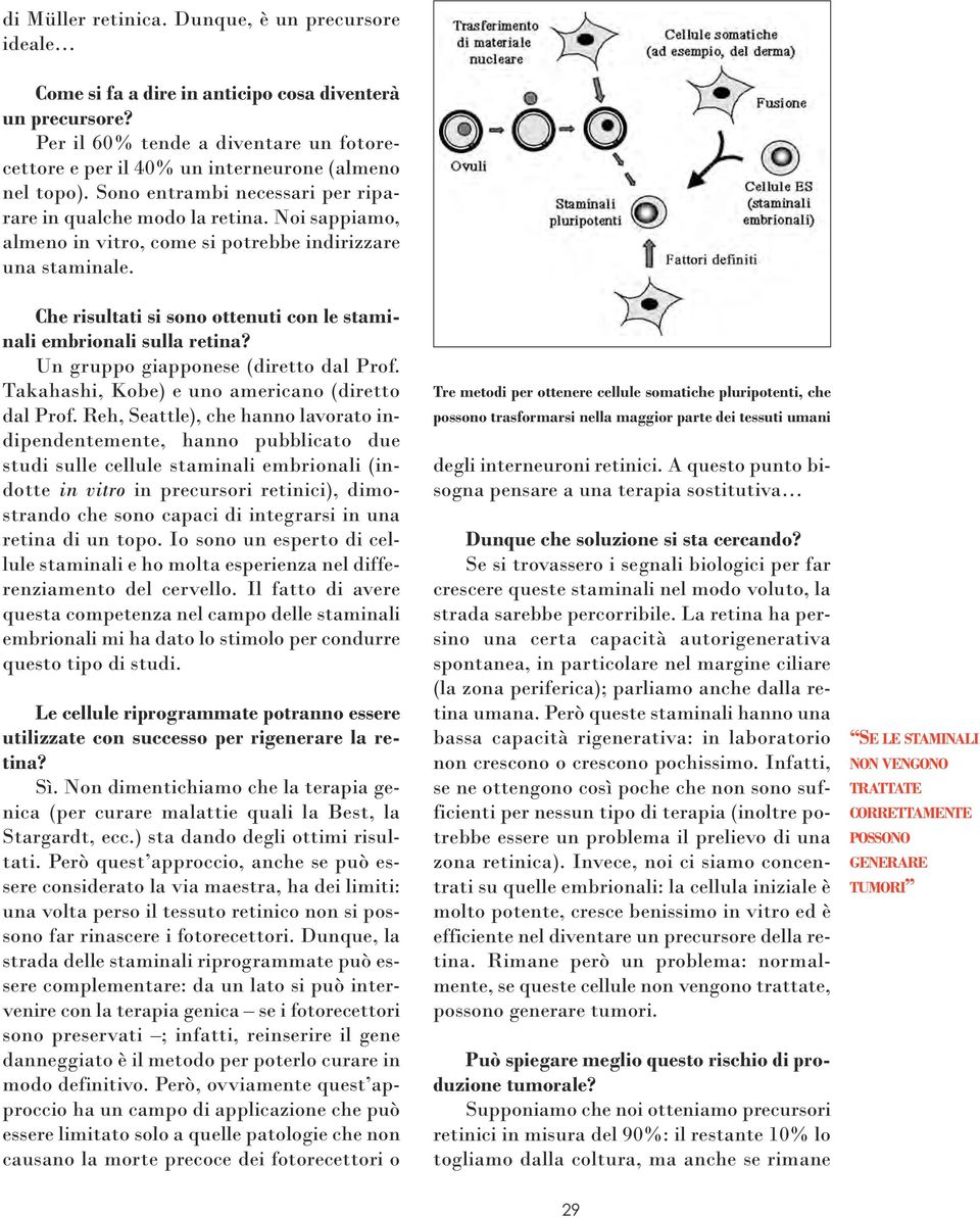 Noi sappiamo, almeno in vitro, come si potrebbe indirizzare una staminale. Che risultati si sono ottenuti con le staminali embrionali sulla retina? Un gruppo giapponese (diretto dal Prof.