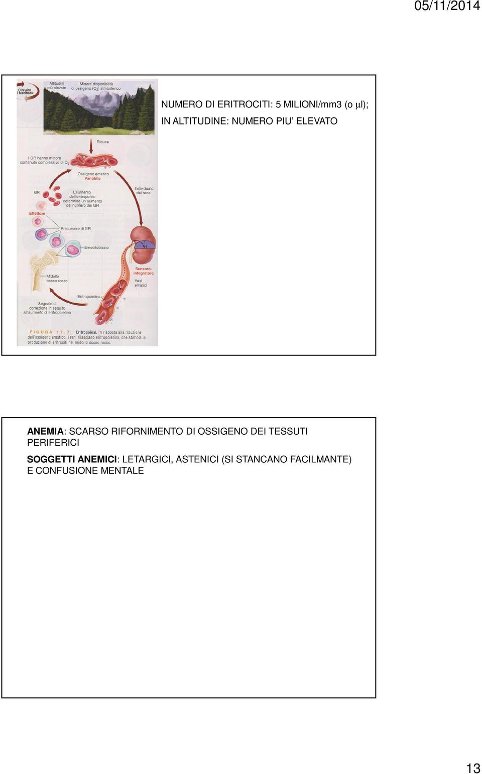 RIFORNIMENTO DI OSSIGENO DEI TESSUTI PERIFERICI SOGGETTI