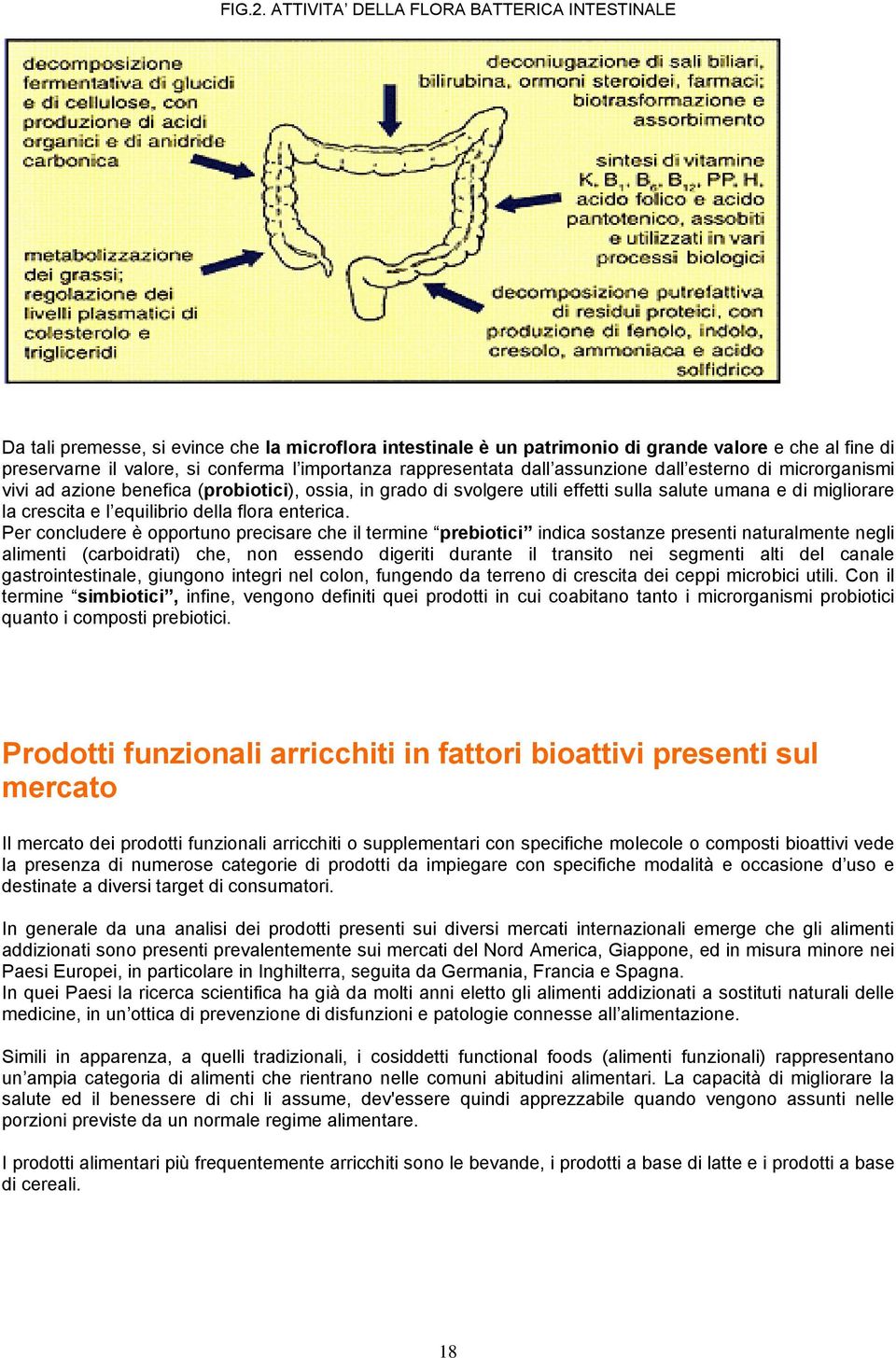 rappresentata dall assunzione dall esterno di microrganismi vivi ad azione benefica (probiotici), ossia, in grado di svolgere utili effetti sulla salute umana e di migliorare la crescita e l