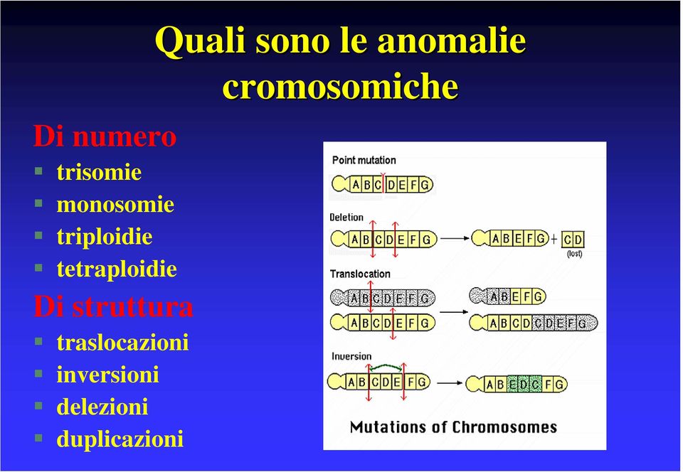 traslocazioni inversioni delezioni