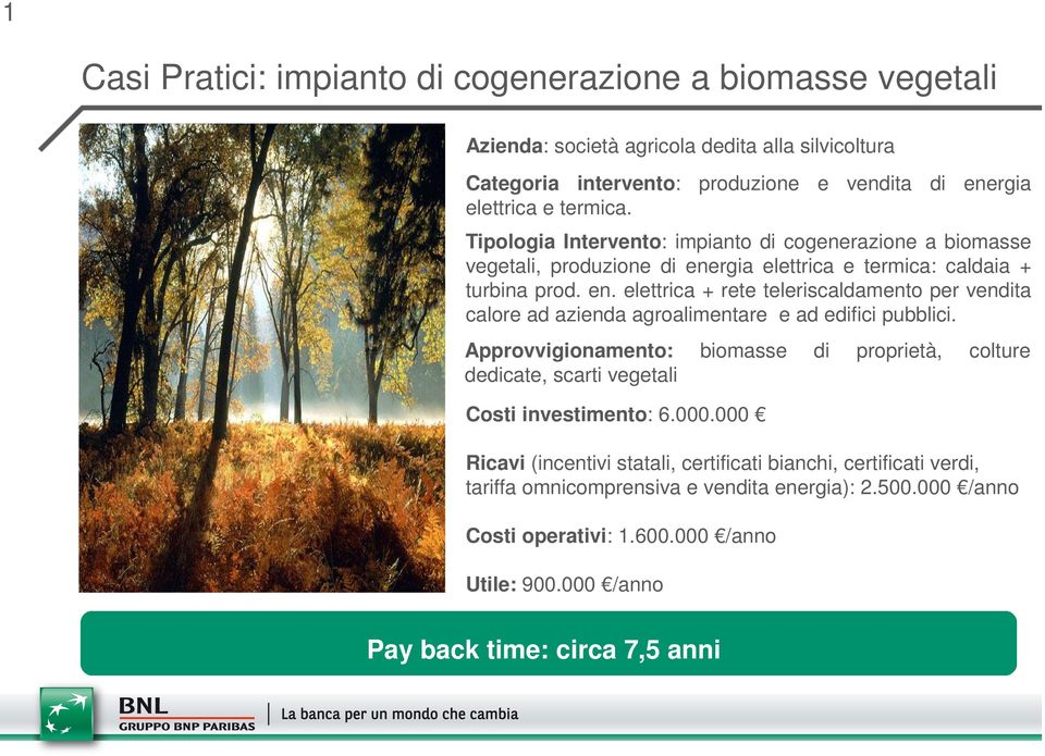 rgia elettrica e termica: caldaia + turbina prod. en. elettrica + rete teleriscaldamento per vendita calore ad azienda agroalimentare e ad edifici pubblici.