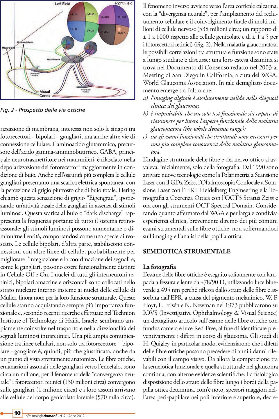 condizione di buio. Anche nell oscurità più completa le cellule gangliari presentano una scarica elettrica spontanea, con la percezione di grigio piuttosto che di buio totale.