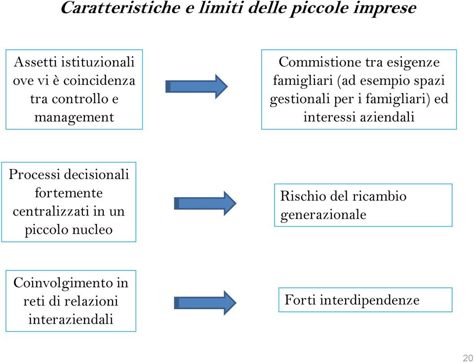 famigliari) ed interessi aziendali Processi decisionali fortemente centralizzati in un piccolo