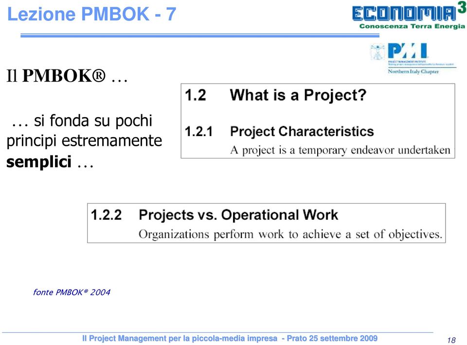 PMBOK 2004 Il Project Management per la