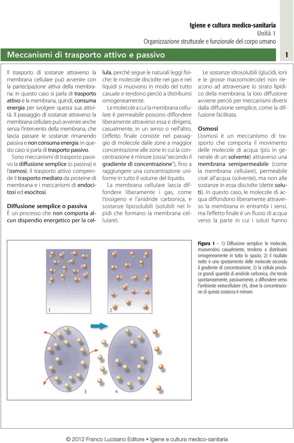 Il passaggio di sostanze attraverso la membrana cellulare può avvenire anche senza l intervento della membrana, che lascia passare le sostanze rimanendo passiva e non consuma energia: in questo caso