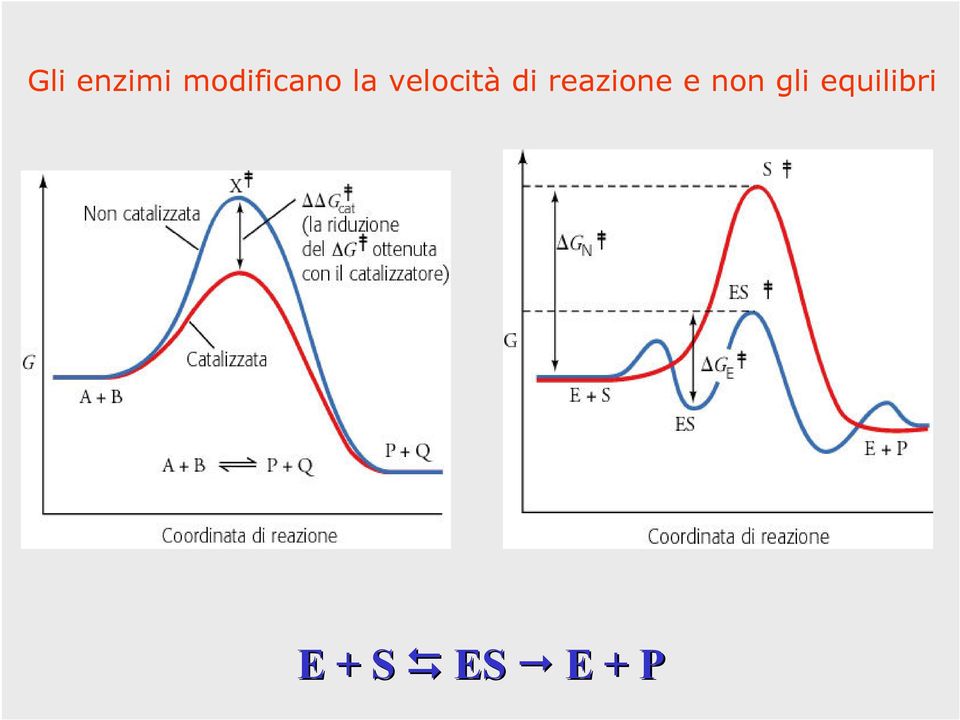 velocità di