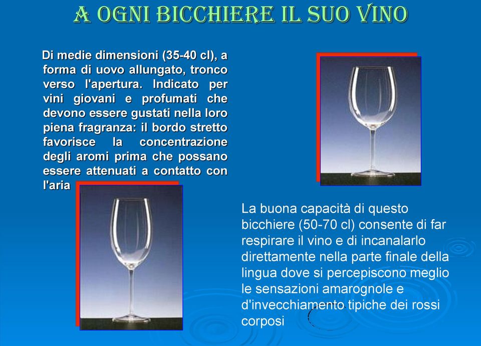 degli aromi prima che possano essere attenuati a contatto con l'aria La buona capacità di questo bicchiere (50-70 cl) consente di far