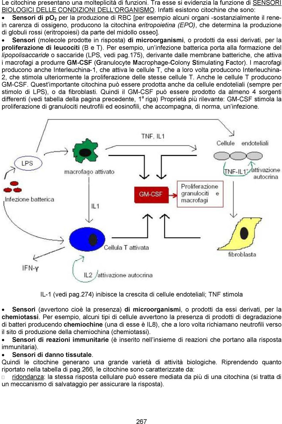 che determina la produzione di globuli rossi (eritropoiesi) da parte del midollo osseo].