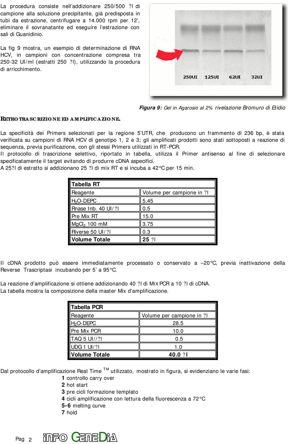 mostra, un esempio di determinazione di RNA HCV, in campioni con concentrazione compresa tra 250-32 UI/ml (estratti 250?