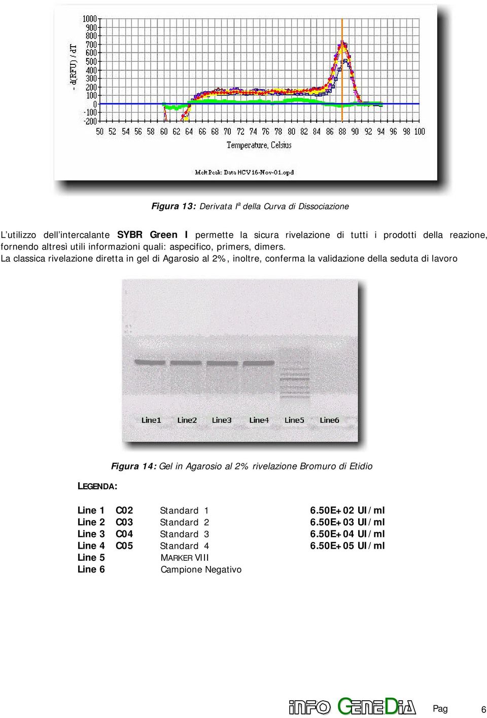 la validazione della seduta di lavoro LEGENDA: Figura 14: Gel in Agarosio al 2% rivelazione Bromuro di Etidio Line 1 C02 Standard 1 650E+02 UI/ml Line 2 C03
