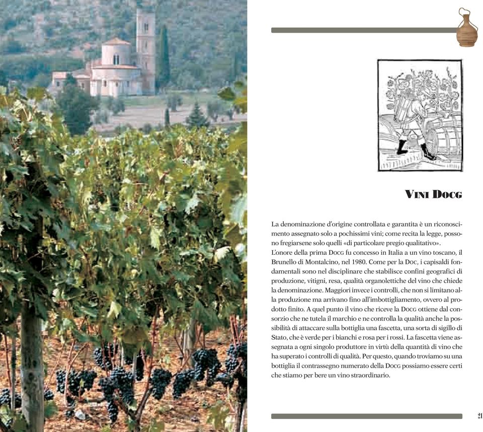 Come per la DOC, i capisaldi fondamentali sono nel disciplinare che stabilisce confini geografici di produzione, vitigni, resa, qualità organolettiche del vino che chiede la denominazione.