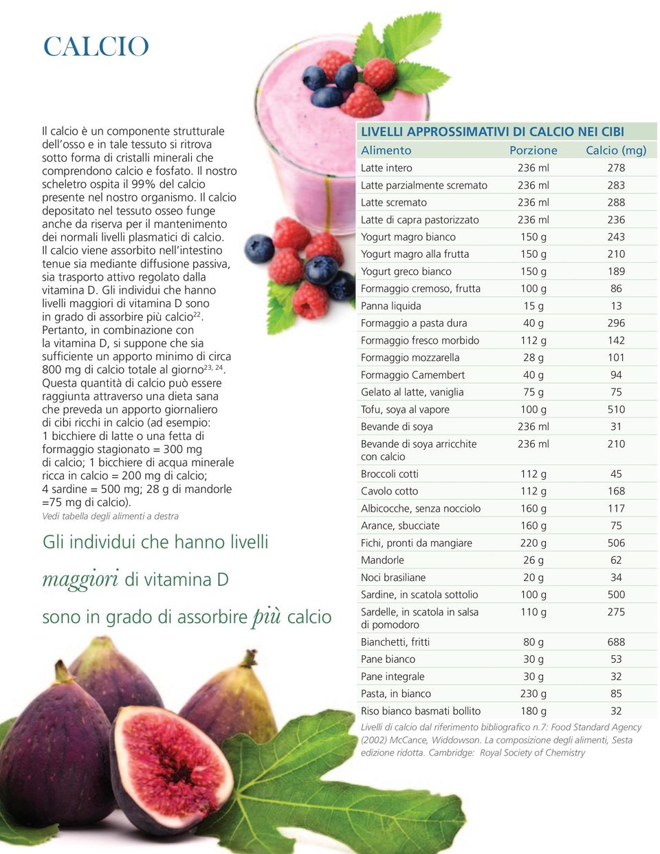 Il calcio viene assorbito nell intestino tenue sia mediante diffusione passiva, sia trasporto attivo regolato dalla vitamina D.