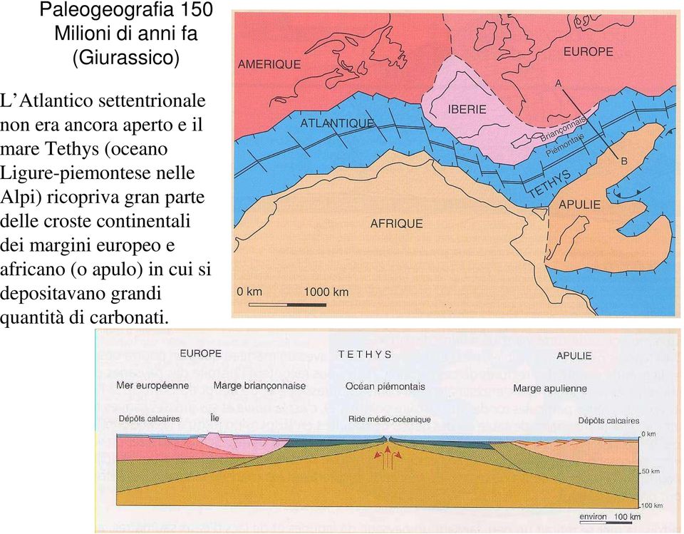 Ligure-piemontese nelle Alpi) ricopriva gran parte delle croste