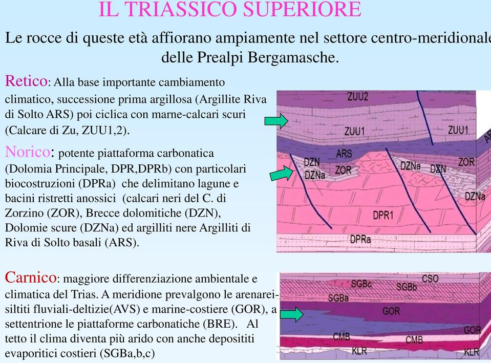 Norico: potente piattaforma carbonatica (Dolomia Principale, DPR,DPRb) con particolari biocostruzioni (DPRa) che delimitano lagune e bacini ristretti anossici (calcari neri del C.