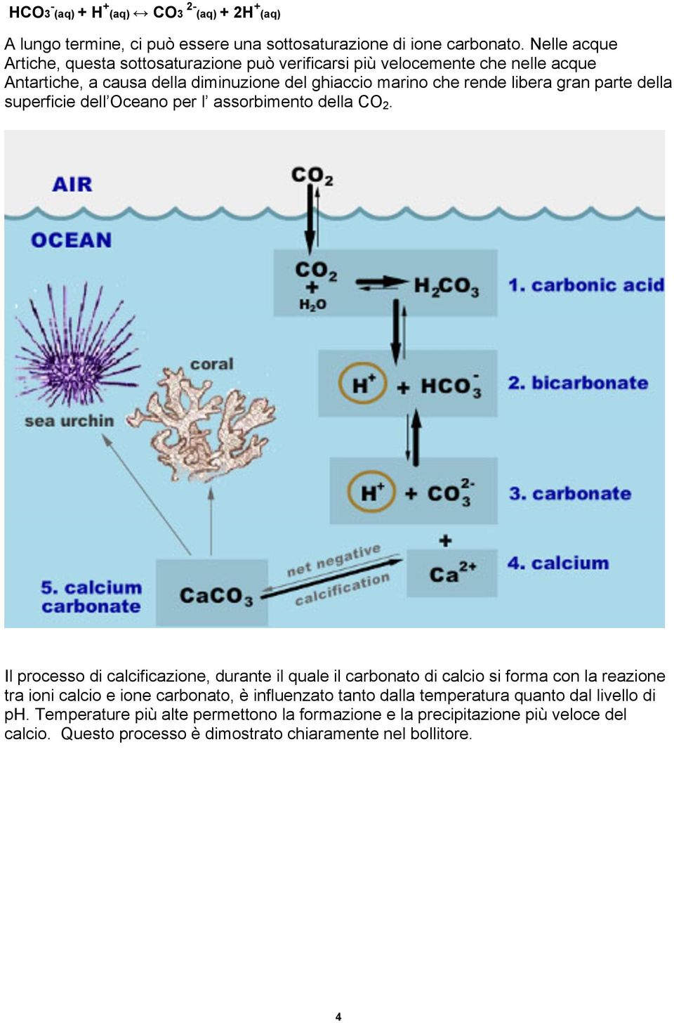 parte della superficie dell Oceano per l assorbimento della CO 2.