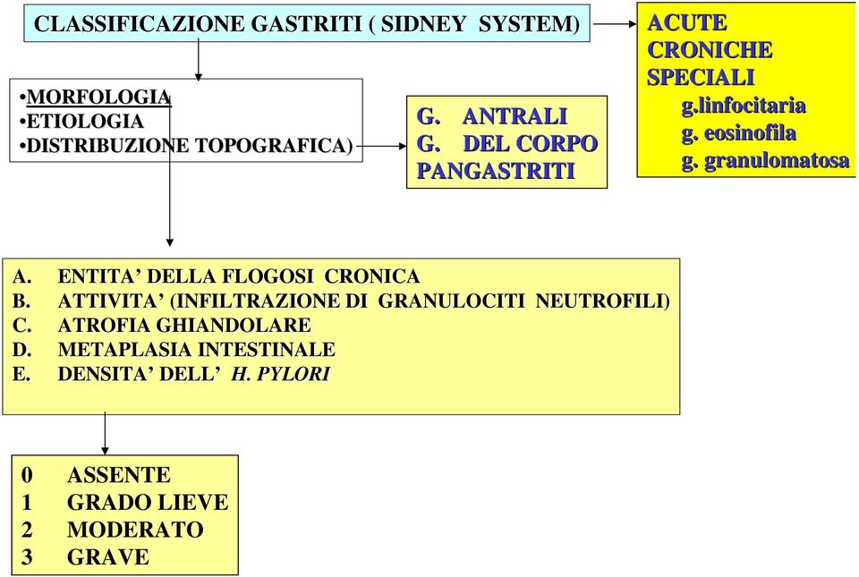 granulomatosa A. ENTITA DELLA FLOGOSI CRONICA B.