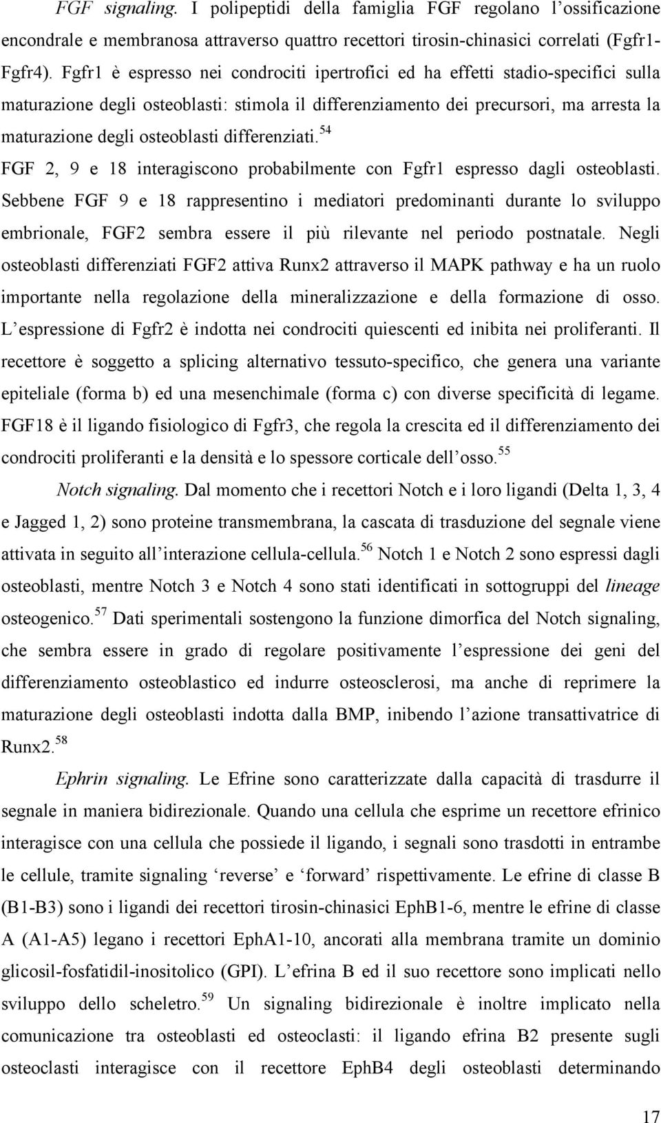 Fgfr1 è espresso nei condrociti ipertrofici ed ha effetti stadio-specifici sulla maturazione degli osteoblasti: stimola il differenziamento dei precursori, ma arresta la maturazione degli osteoblasti