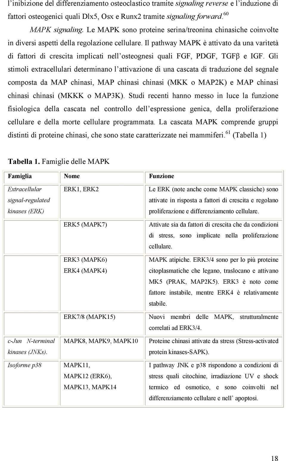 Il pathway MAPK è attivato da una varitetà di fattori di crescita implicati nell osteognesi quali FGF, PDGF, TGFβ e IGF.