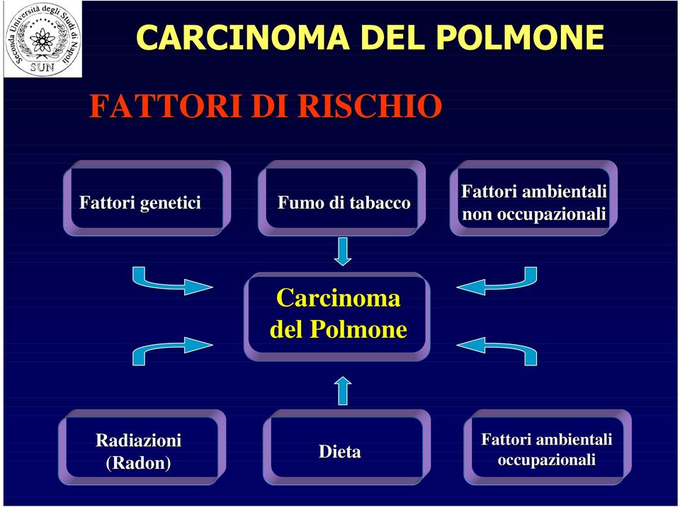 occupazionali Carcinoma del Polmone