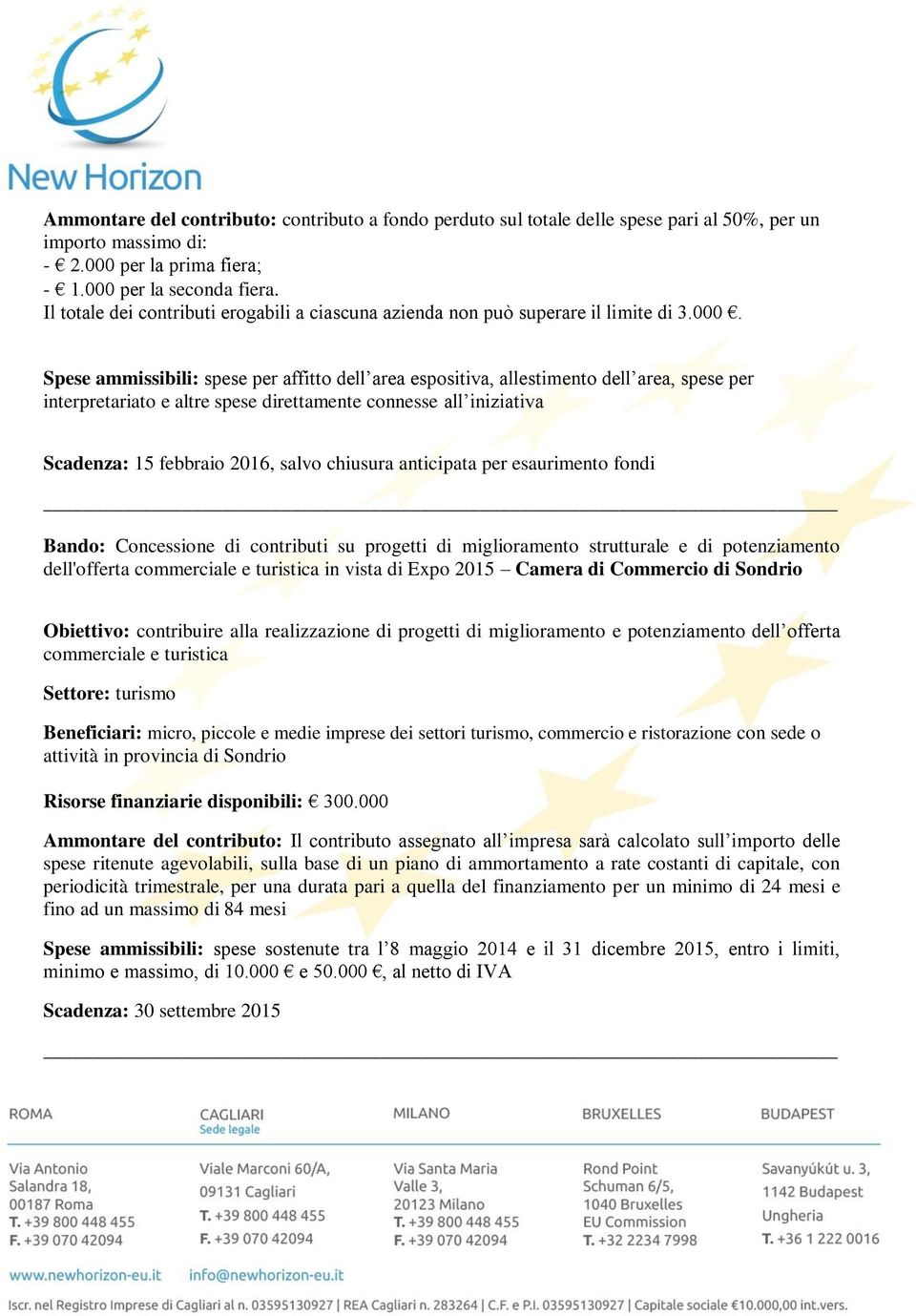 Spese ammissibili: spese per affitto dell area espositiva, allestimento dell area, spese per interpretariato e altre spese direttamente connesse all iniziativa Scadenza: 15 febbraio 2016, salvo