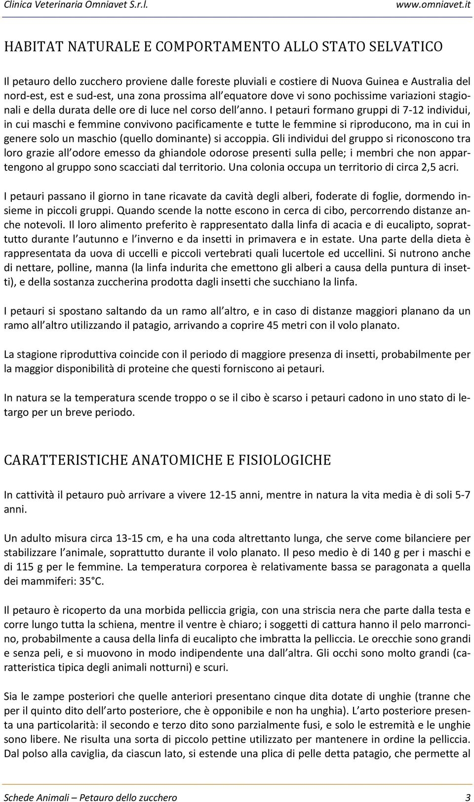 I petauri formano gruppi di 7-12 individui, in cui maschi e femmine convivono pacificamente e tutte le femmine si riproducono, ma in cui in genere solo un maschio (quello dominante) si accoppia.