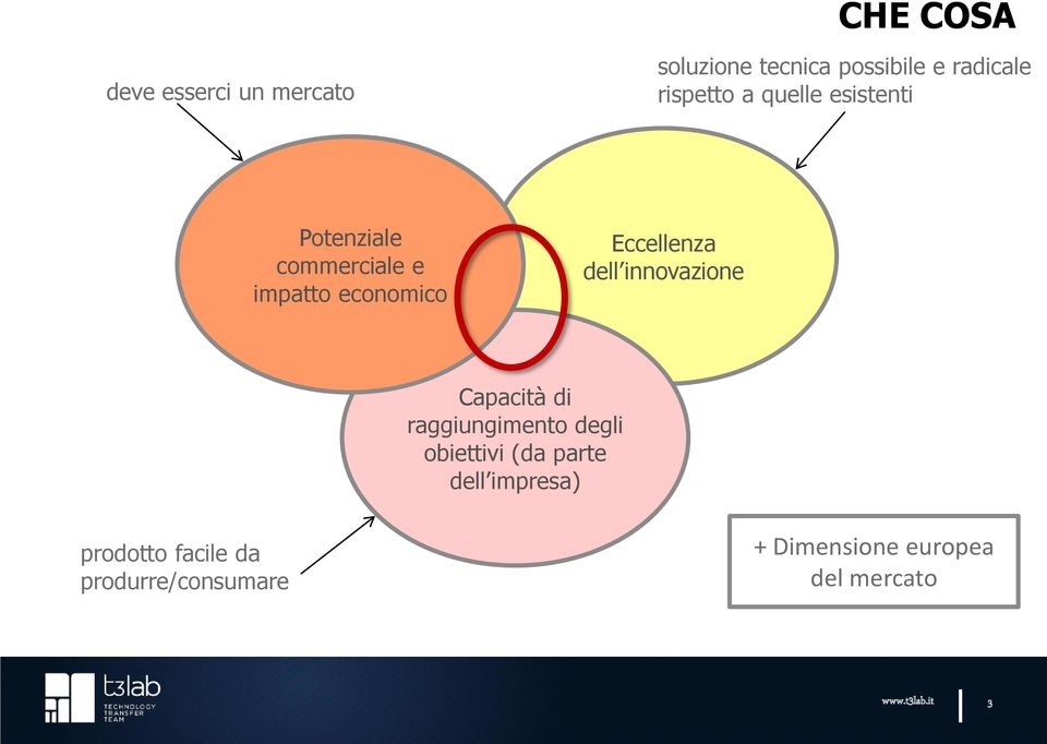 innovazione Capacità di raggiungimento degli obiettivi (da parte dell impresa)