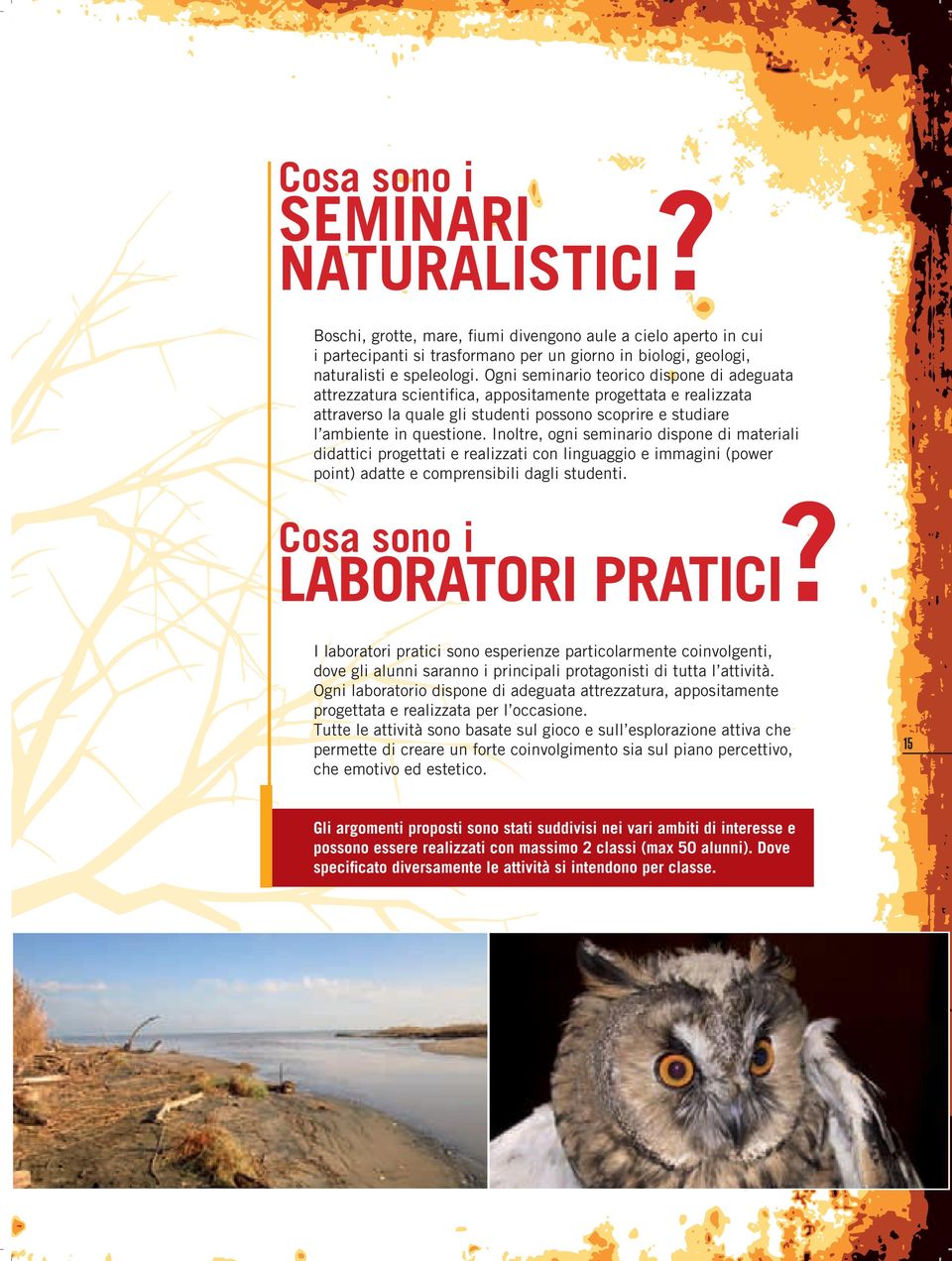 Inoltre, ogni seminario dispone di materiali didattici progettati e realizzati con linguaggio e immagini (power point) adatte e comprensibili dagli studenti. Cosa sono i LABORATORI PRATICI?