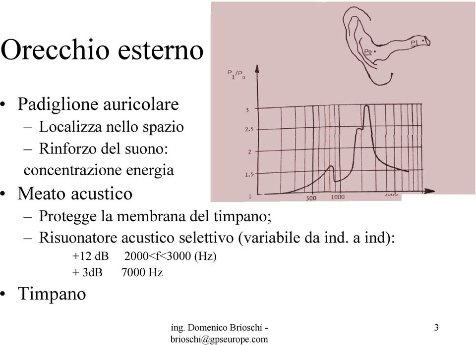 Protegge la membrana del timpano; Risuonatore acustico selettivo