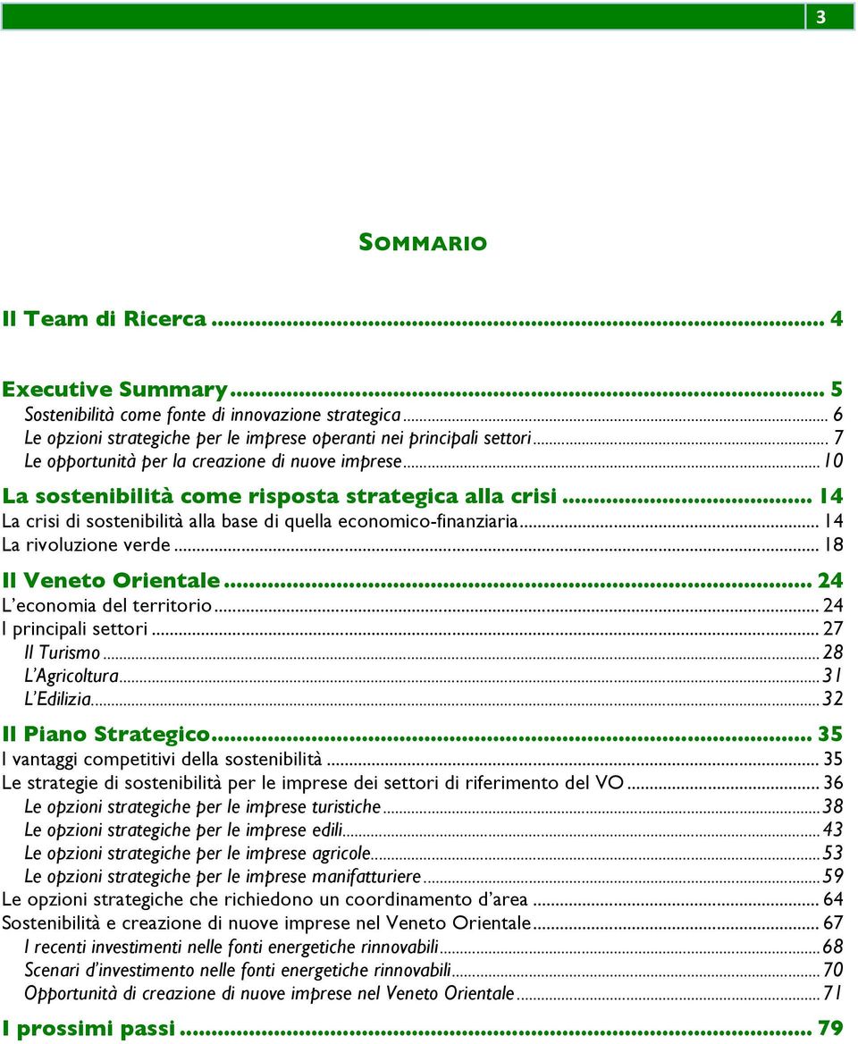 .. 14 La rivoluzione verde... 18 Il Veneto Orientale... 24 L economia del territorio... 24 I principali settori... 27 Il Turismo...28 L Agricoltura...31 L Edilizia...32 Il Piano Strategico.