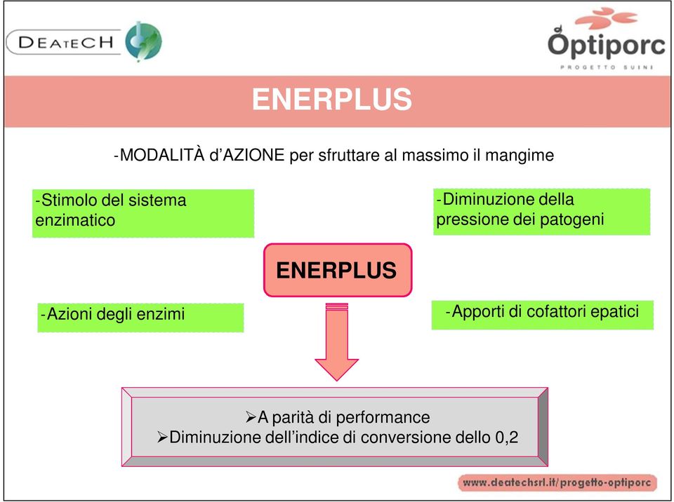 patogeni ENERPLUS -Azioni degli enzimi -Apporti di cofattori