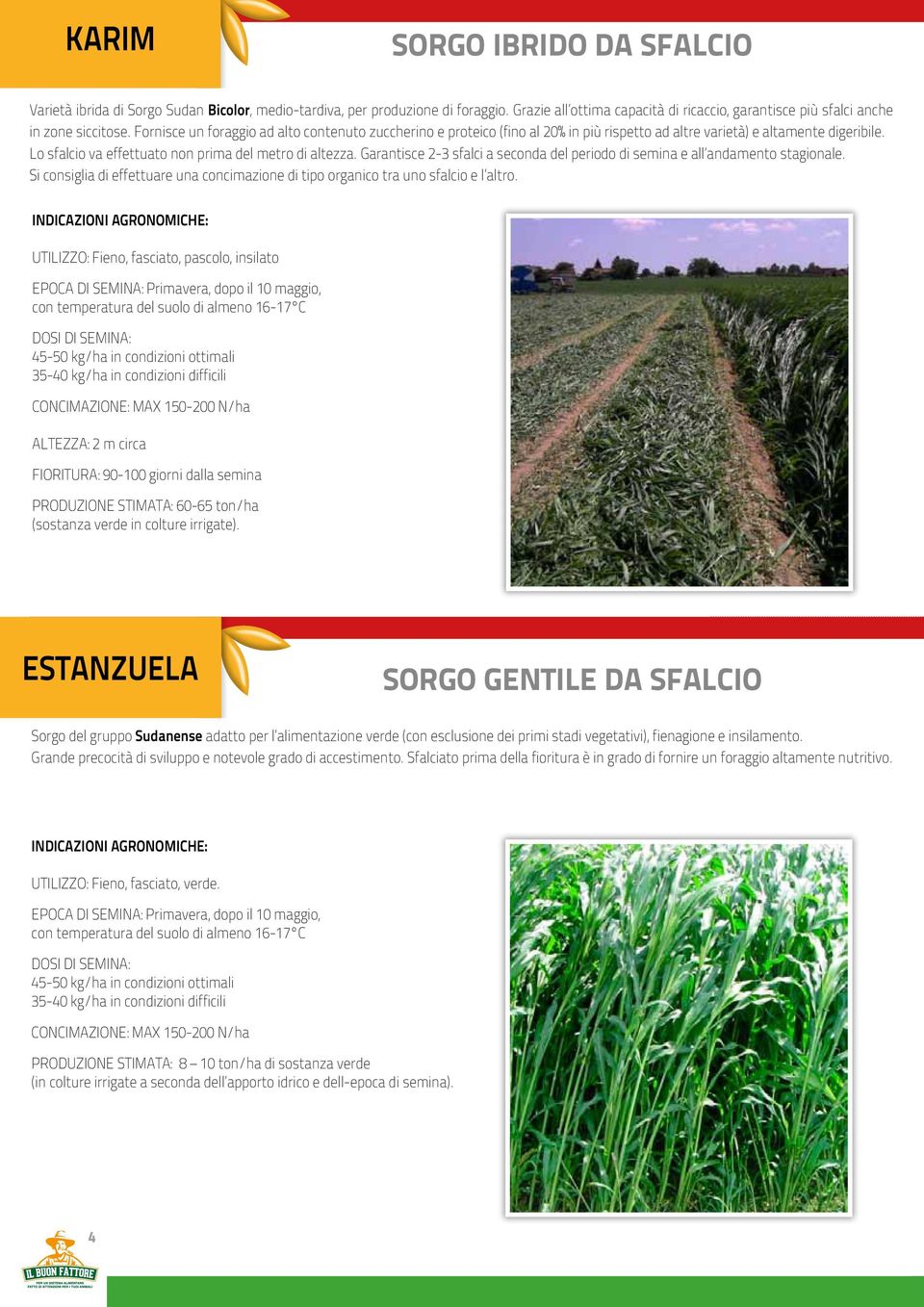 Garantisce 2-3 sfalci a seconda del periodo di semina e all andamento stagionale. Si consiglia di effettuare una concimazione di tipo organico tra uno sfalcio e l altro.