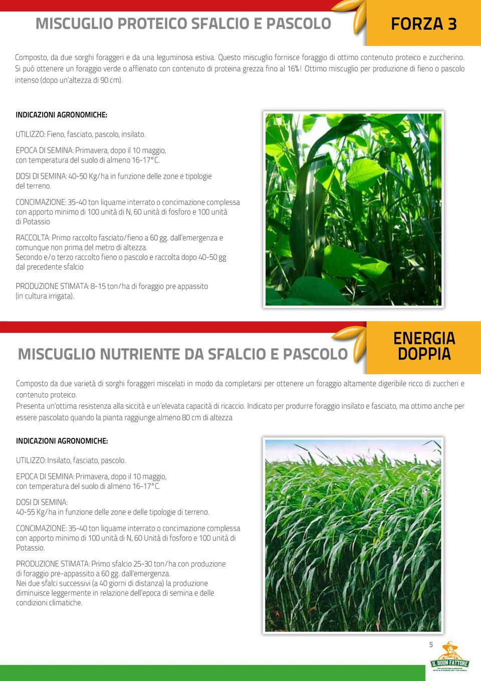 UTILIZZO: Fieno, fasciato, pascolo, insilato.. DOSI DI SEMINA: 40-50 Kg/ha in funzione delle zone e tipologie del terreno.