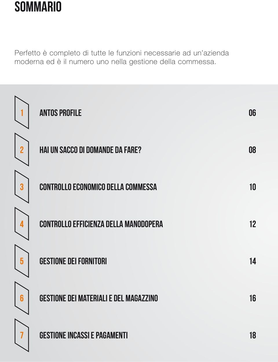 08 3 CONTROLLO ECONOMICO DELLA COMMESSA 10 4 CONTROLLO EFFICIENZA DELLA MANODOPERA 12 5